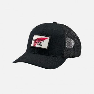 Red Wing Embroidered Logo Ball Hat | 36TMIXWSN