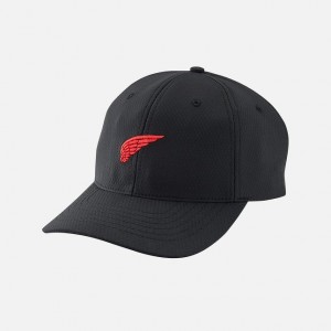 Red Wing Wing Logo Ball Hat | 42RTEJLGV